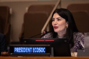 ECOSOC Session